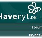 havenyt