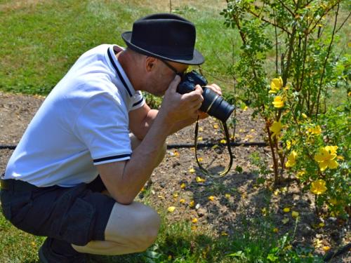 Kristian fotograferer x-Rosa-foetida. Foto: Jens 