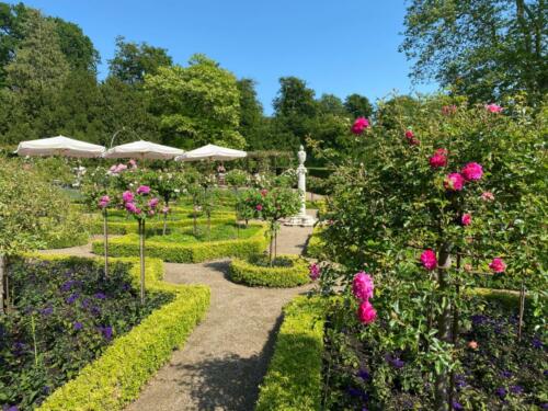 Parti fra Dronning Louises Rosenhave på Bernstorffs Slot.